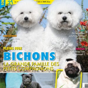 Tout Chien numéro 21