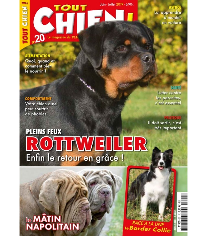 Le Magazine Tout Chien Numéro 20 Tout Chien Le Magazine