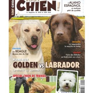 Tout chien numéro 004