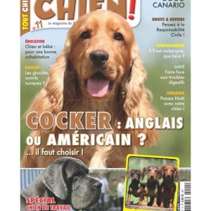 Tout chien numéro 011