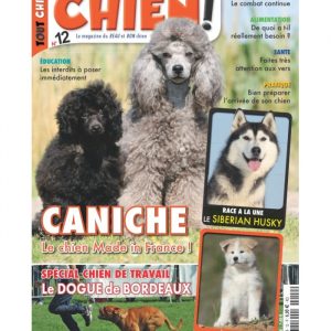 Tout chien numéro 012