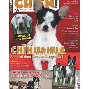 Tout chien numéro 014