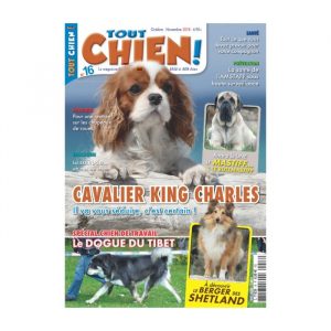 Tout chien numéro 016