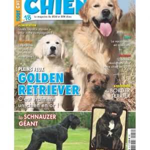 Tout chien numéro 018