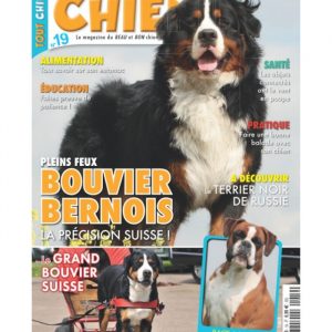 Tout chien numéro 019