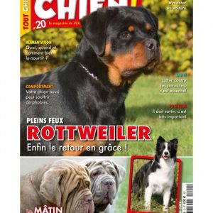 Tout chien numéro 020