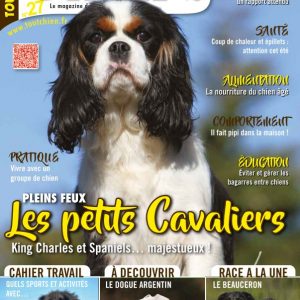 Tout Chien numéro 27