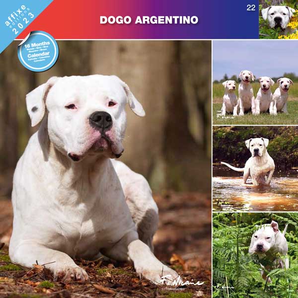 22 COUV DOG ARGENTIN 2023