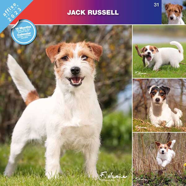 31 COUV JACK RUSSELL 2023